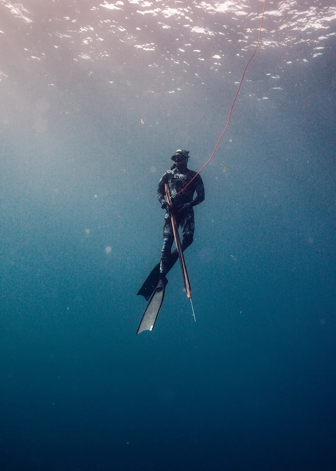 Spearo freediving with a speargun in the blue Pacific off Punta Mita